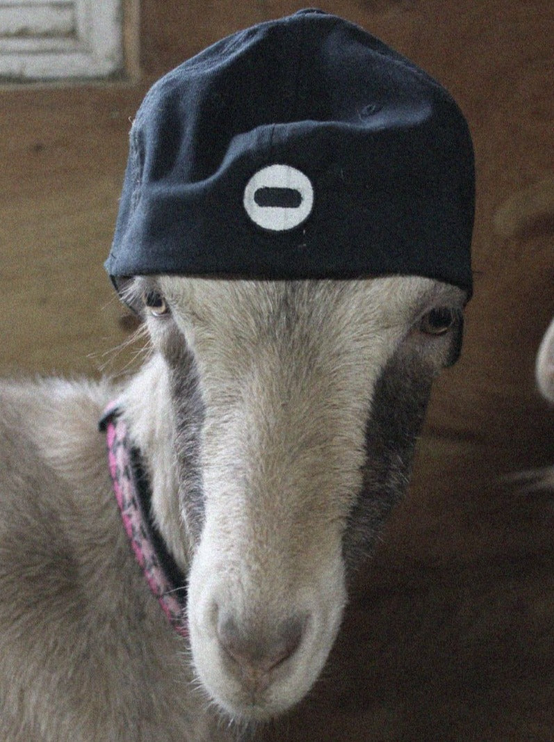 I.C.U Capricorn Hat by Coin