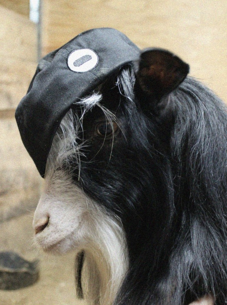 I.C.U Capricorn Hat by Coin
