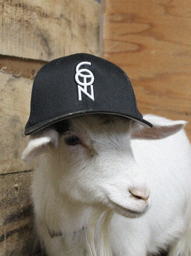 I.C.U Capricorn Hat by Coin