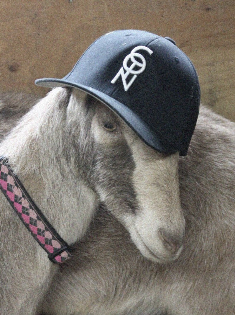 I.C.U Capricorn Hat by Coin